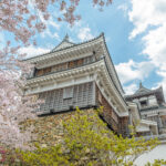 お城と桜
